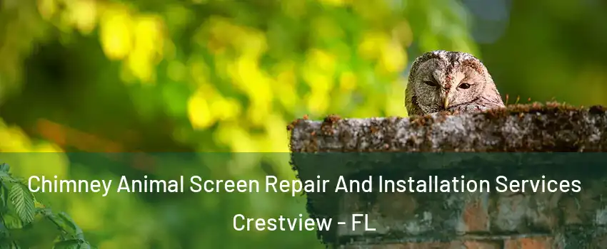  Chimney Animal Screen Repair And Installation Services Crestview - FL