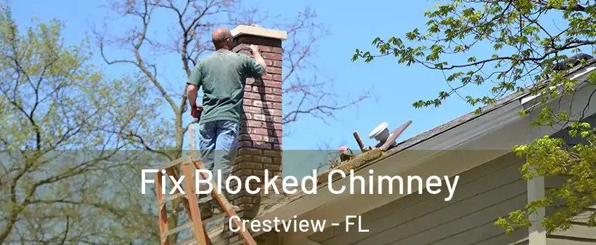  Fix Blocked Chimney Crestview - FL