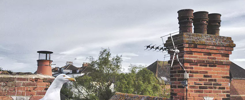 Chimney Cleaning And Restoration in Crestview, Florida