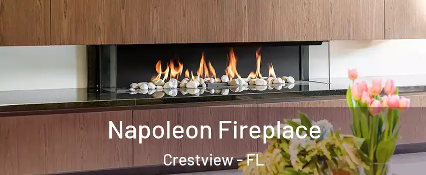 Napoleon Fireplace Crestview - FL